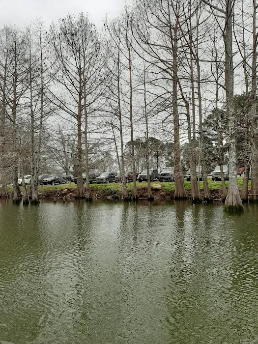 Woolen Lake Road Campground and Boat Launch 7
