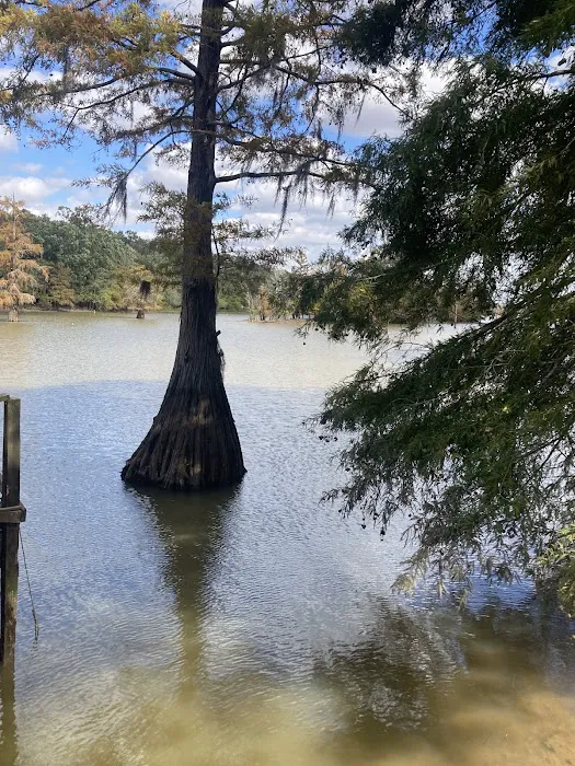 Riverside RV Park 4