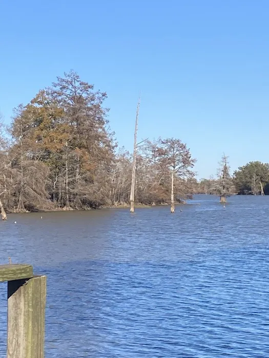 Riverside RV Park 2