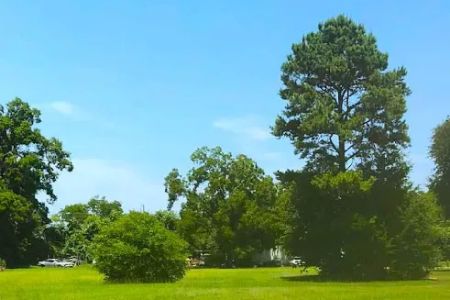 Pecan Acres Mobile Home Park