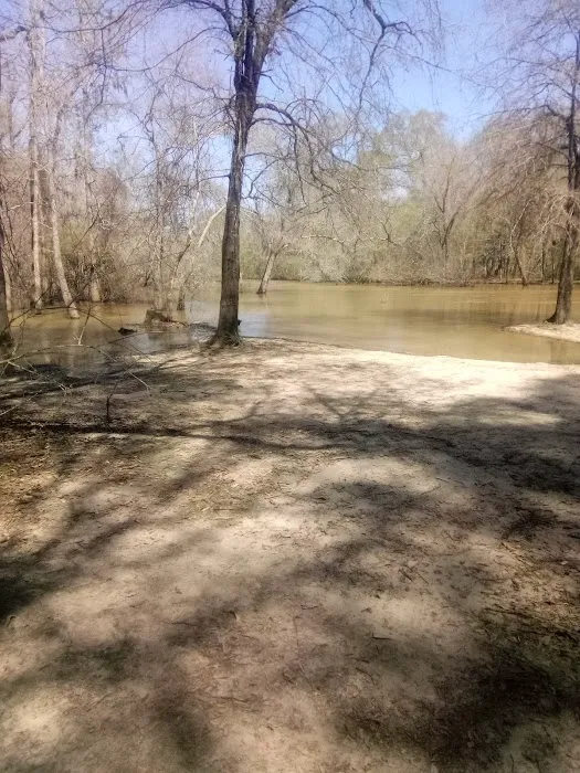 Holly Bluff Campground 8
