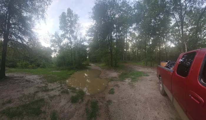 Holly Bluff Campground 1