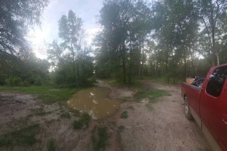 Holly Bluff Campground
