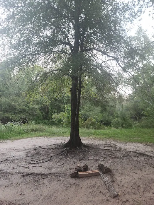 Holly Bluff Campground 5