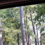 Pine Oaks RV Park