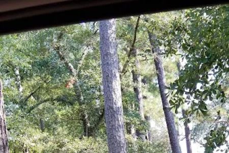 Pine Oaks RV Park