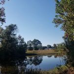 The Good Life RV Park