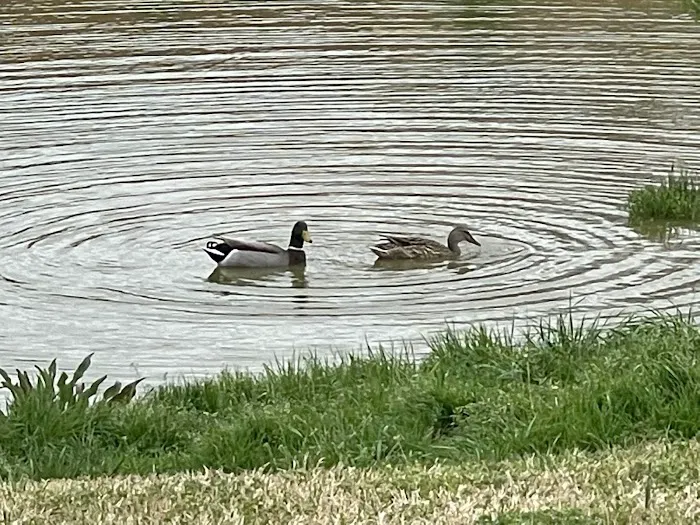 Newark RV Park, Texas 3