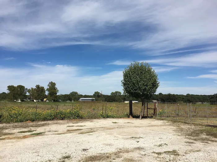 Texas Star RV Park of Azle 8