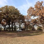 Briar Creek Cottages