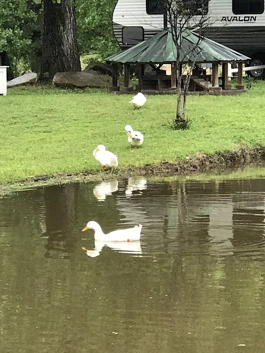 Stone Ridge RV Park 9