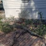 Oakwood Manufactured Home Community