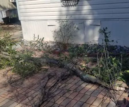 Oakwood Manufactured Home Community