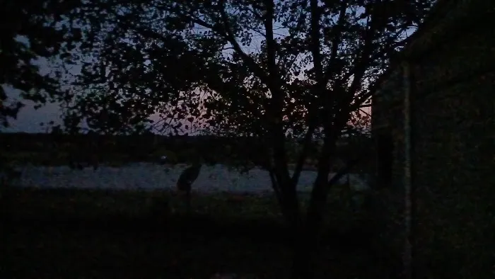 Paradise RV Park ! ! ! Paradise TX 4