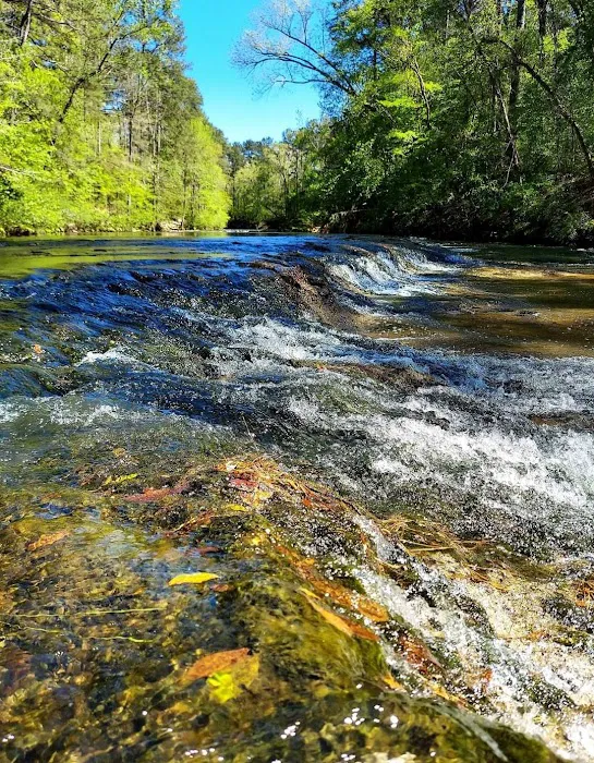 Kisatchie Bayou Campground 1