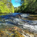 Kisatchie Bayou Campground