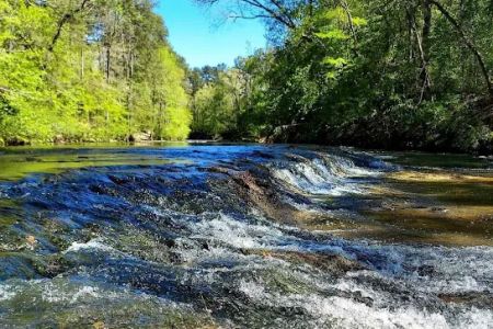 Kisatchie Bayou Campground