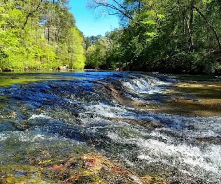 Kisatchie Bayou Campground