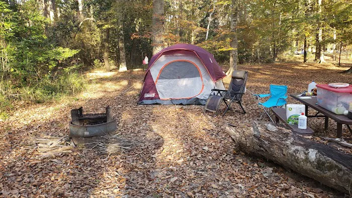 Kisatchie Bayou Campground 8