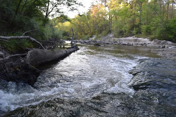 Kisatchie Bayou Campground 6