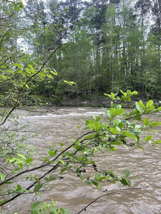 Kisatchie Bayou Campground 5