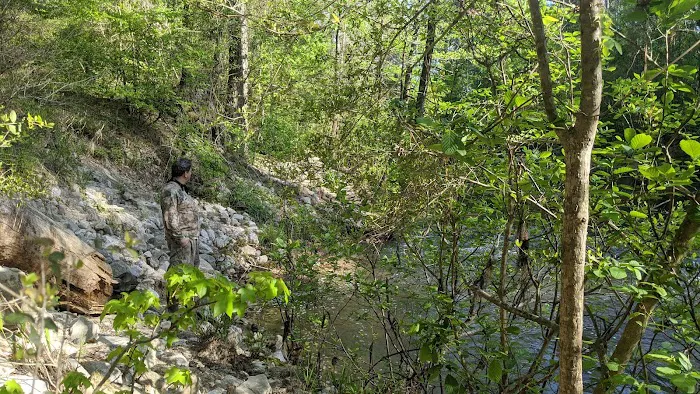 Kisatchie Bayou Campground 10