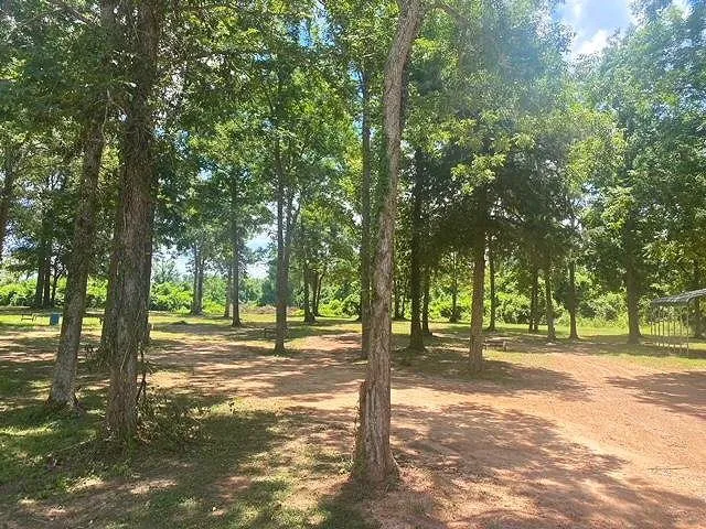 River Island RV Park 3