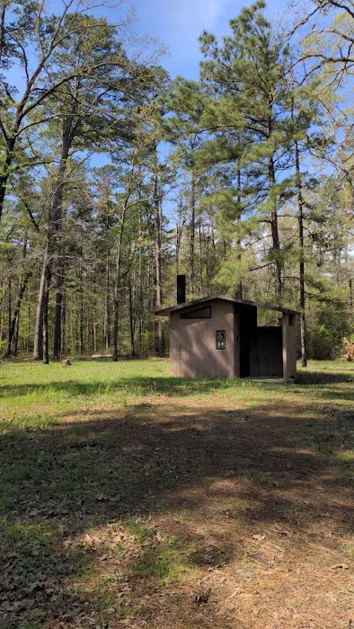 Bankston camp 1