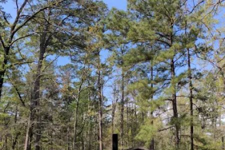 Bankston camp