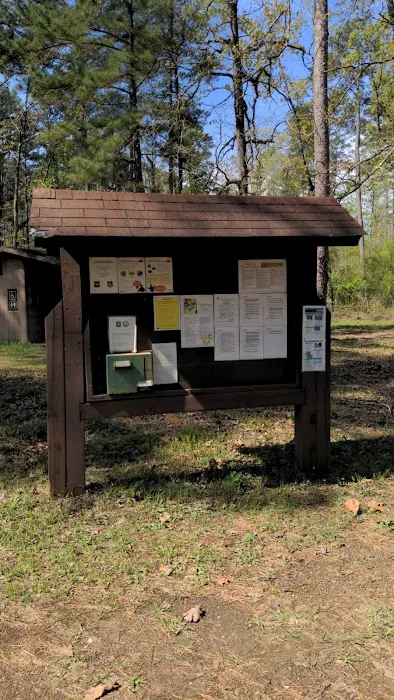 Bankston camp 3