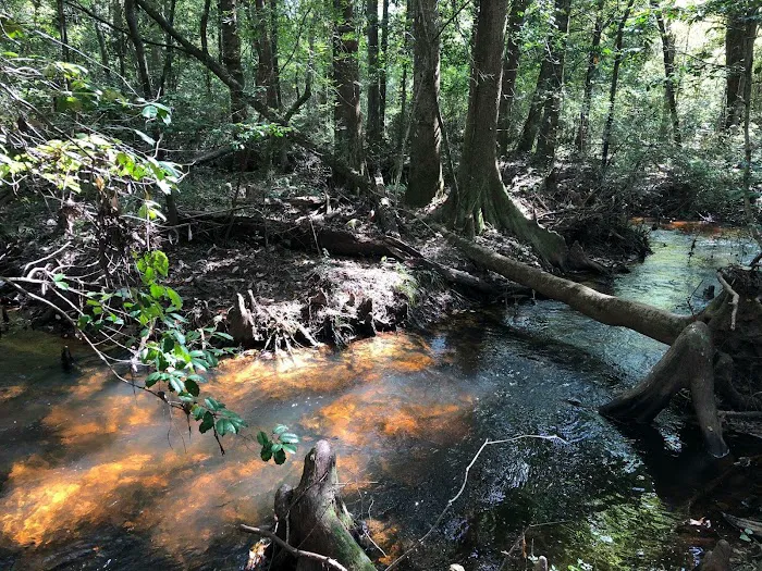 Jasper TX RV Park and Campground at Paula Bellow Nature Preserve 1