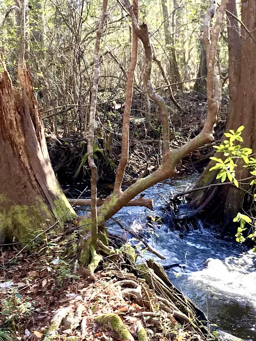 Jasper TX RV Park and Campground at Paula Bellow Nature Preserve 6