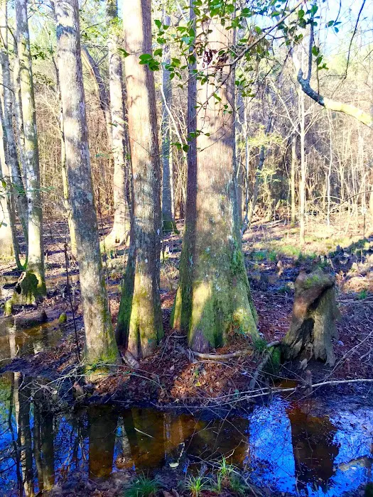 Jasper TX RV Park and Campground at Paula Bellow Nature Preserve 9