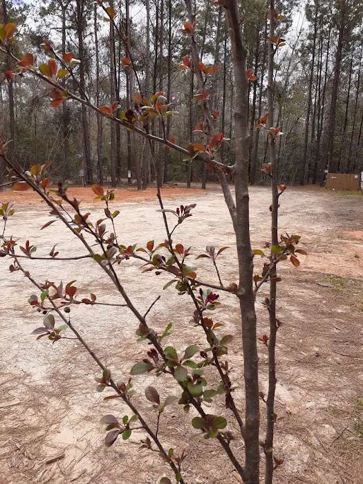 Jasper TX RV Park and Campground at Paula Bellow Nature Preserve 7