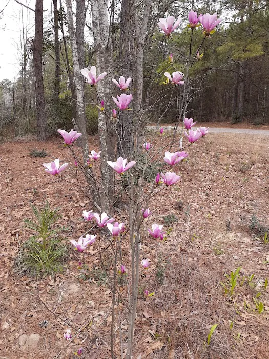 Jasper TX RV Park and Campground at Paula Bellow Nature Preserve 10
