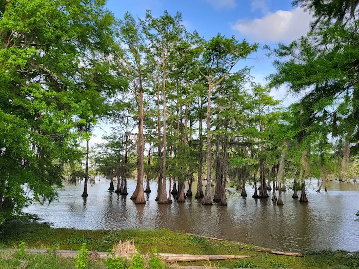 Magnolia Ridge Park Campground 2
