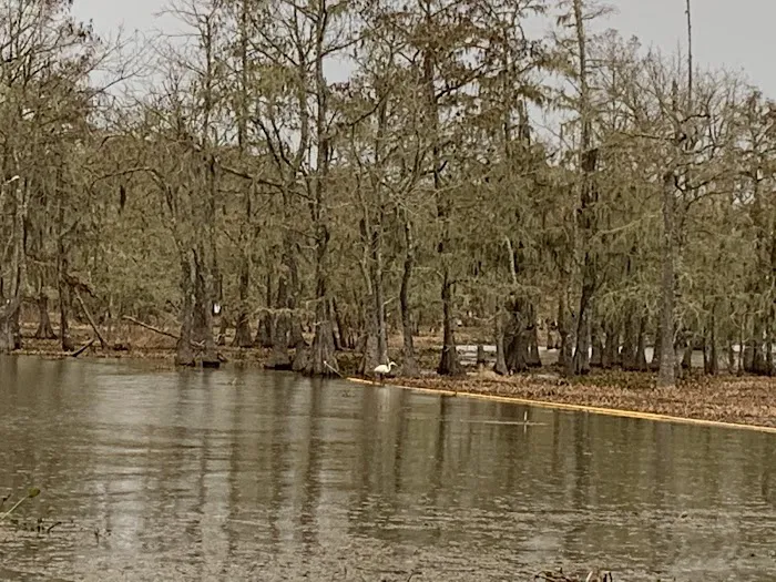 Magnolia Ridge Park Campground 1