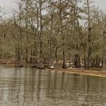 Magnolia Ridge Park Campground