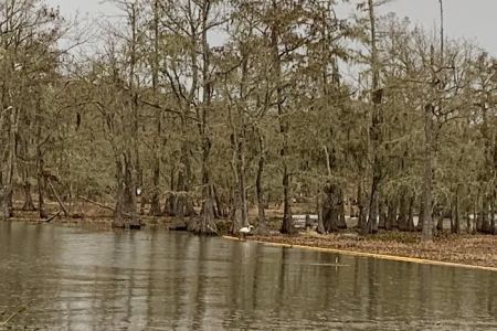 Magnolia Ridge Park Campground