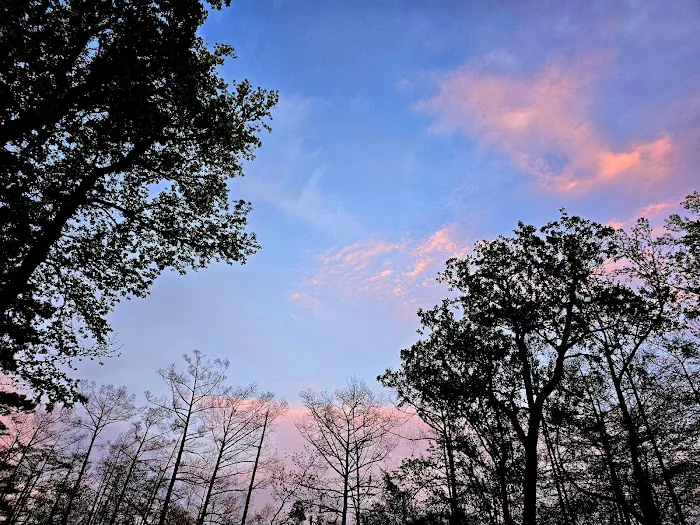 Magnolia Ridge Park Campground 10