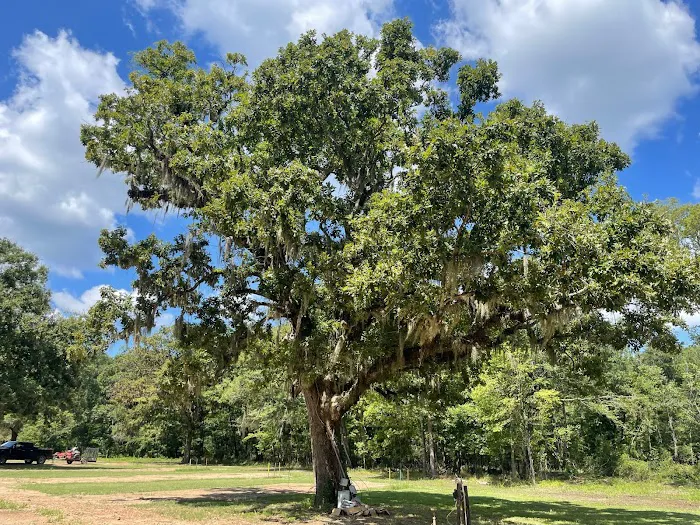 The oaks on bussey 9