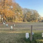 Bayou Bonne Idee RV PARK and one cabin