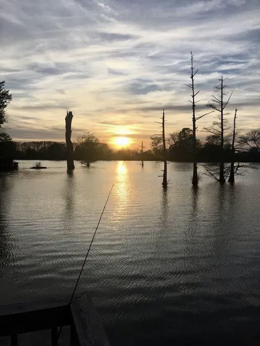 Raz’s Retreat RV Park 7