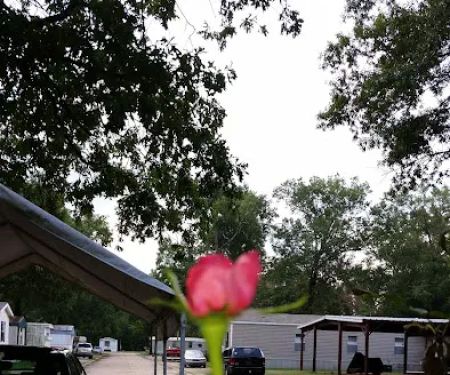 Pecanland Mobile Home & R.V. Park