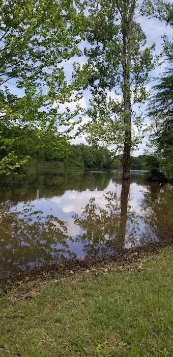 Brad's Old Ferry Landing Campground & RV Park 6