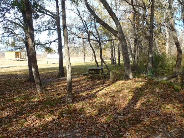 Coleman's Campgrounds 7