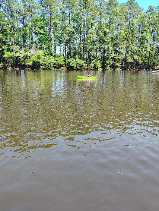 Pineywoods Camp 3