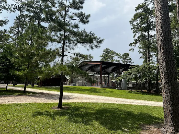 Pineywoods Camp 6