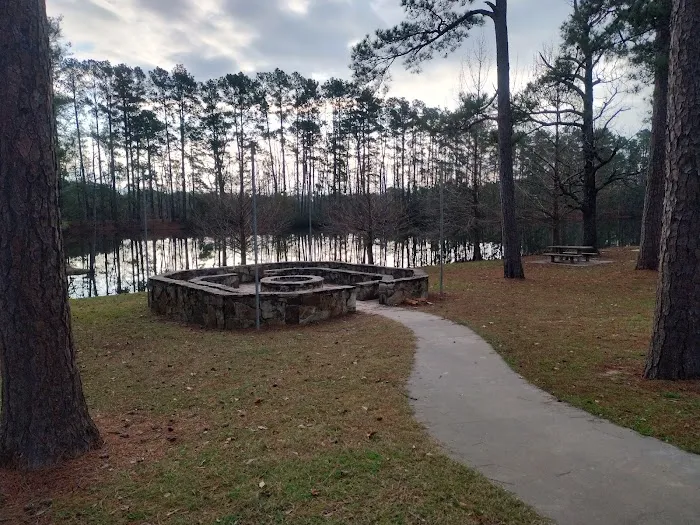 Pineywoods Camp 8