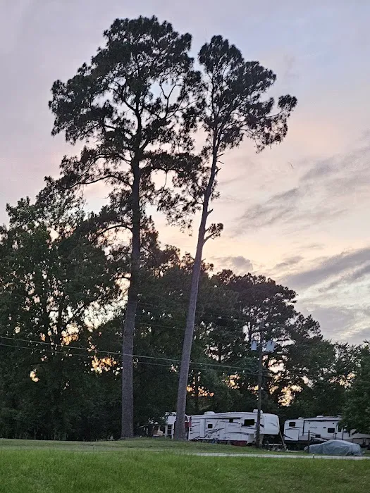 Shoreline RV Park 5